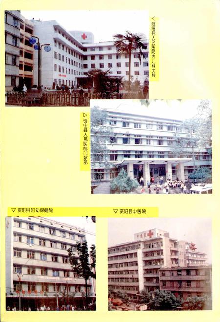 《内江地区卫生志》.pdf电子版_四川省志插图3