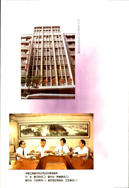 《内江地区金融志》.pdf电子版_四川省志插图4