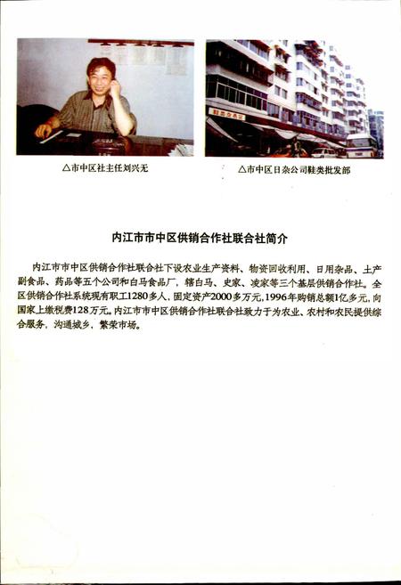 《内江地区供销合作志》.pdf电子版_四川省志插图3