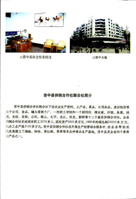 《内江地区供销合作志》.pdf电子版_四川省志插图5