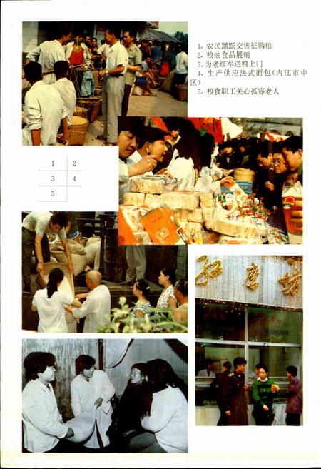 《内江地区粮食志》.pdf电子版_四川省志插图4