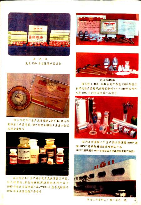 《内江地区二轻工业志》.pdf电子版_四川省志插图5