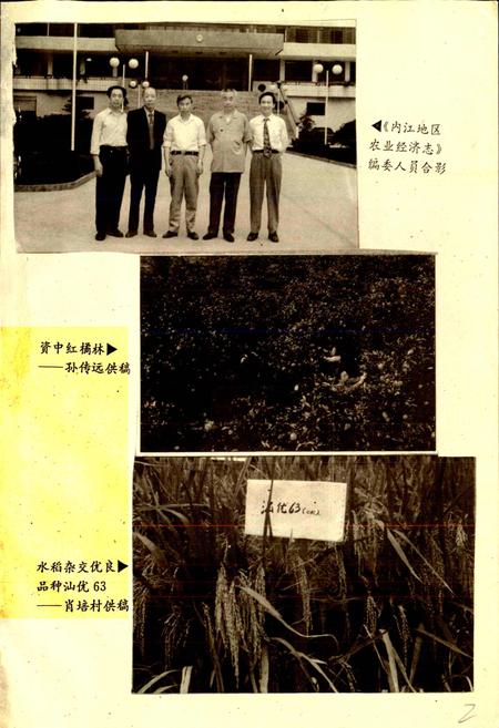 《内江地区农业经济志》.pdf电子版_四川省志插图2