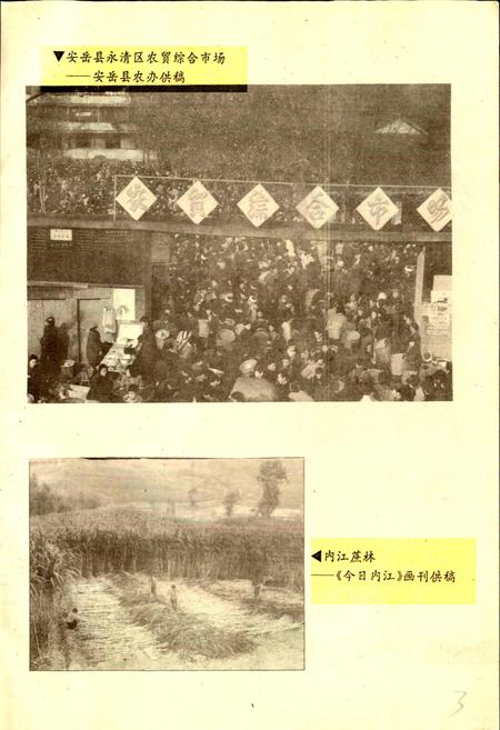 《内江地区农业经济志》.pdf电子版_四川省志插图3