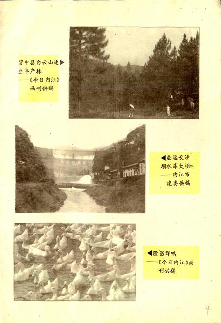 《内江地区农业经济志》.pdf电子版_四川省志插图4