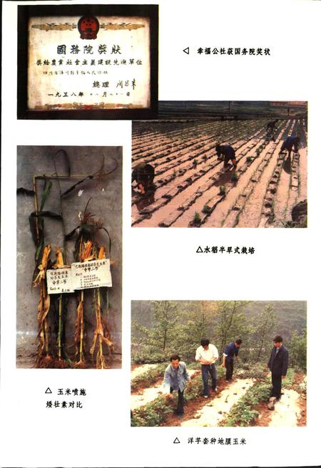 《沐川县志》.pdf电子版_四川省志插图4