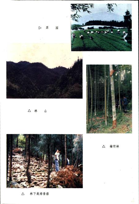《沐川县志》.pdf电子版_四川省志插图5