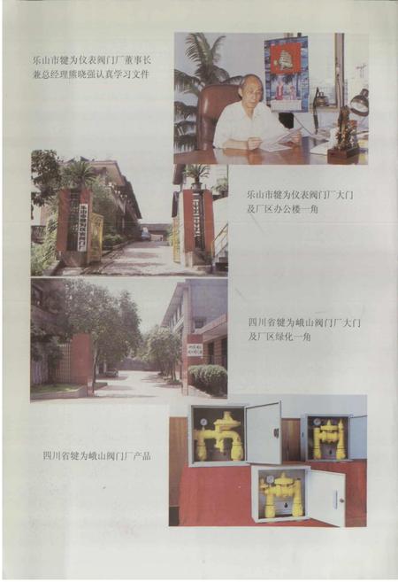 《犍为县乡镇企业志》.pdf电子版_四川省志插图3