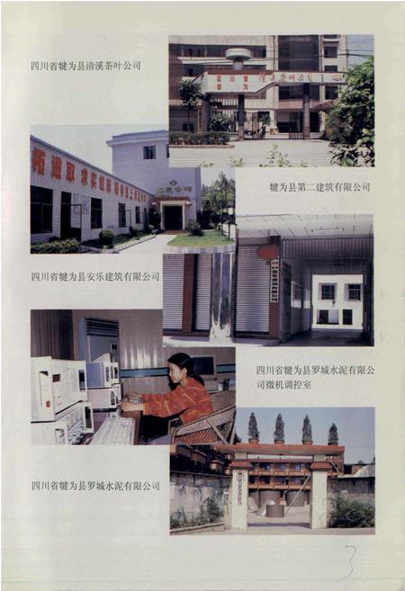 《犍为县乡镇企业志》.pdf电子版_四川省志插图4