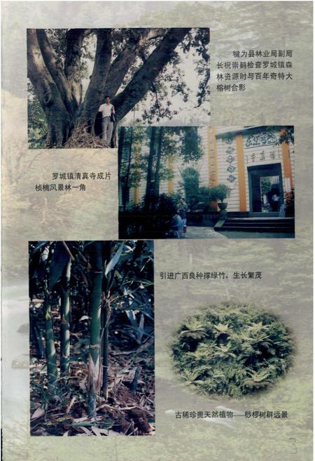 《犍为县林业志》.pdf电子版_四川省志插图5