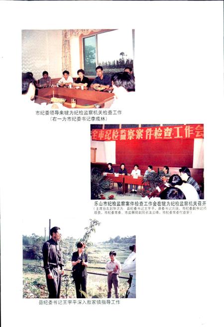 《纪检监察志》.pdf电子版_四川省志插图4
