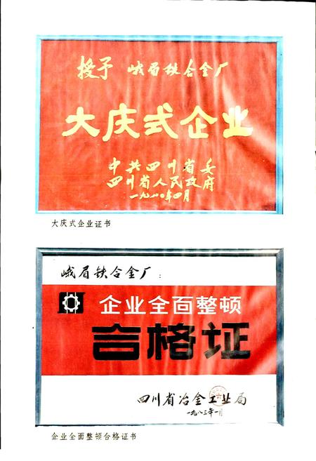 《峨眉铁合金厂志》.pdf电子版_四川省志插图4
