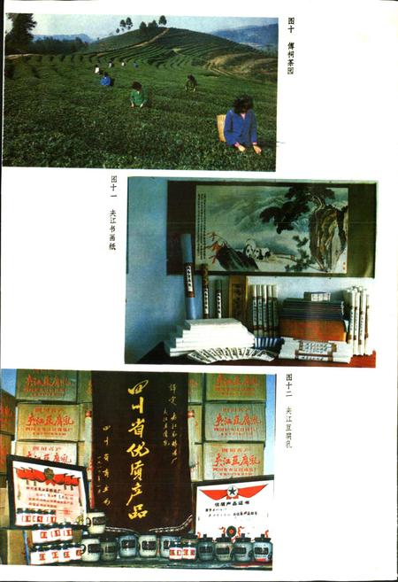 《夹江县志》.pdf电子版_四川省志插图5