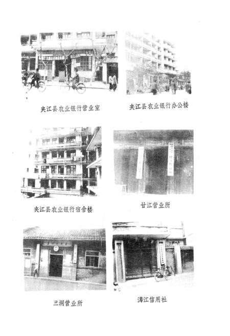 《夹江县农村金融志》.pdf电子版_四川省志插图2