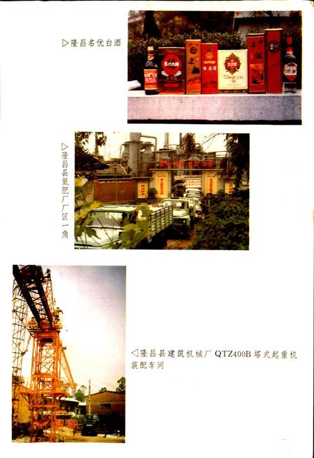 《隆昌县志》.pdf电子版_四川省志插图4
