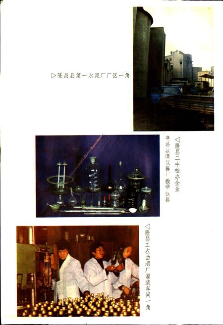 《隆昌县志》.pdf电子版_四川省志插图5