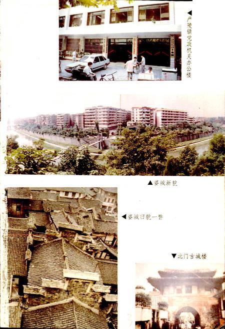 《严陵镇志》.pdf电子版_四川省志插图3