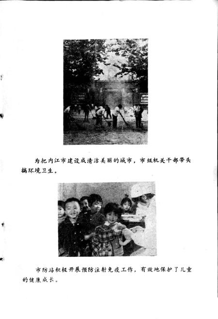 《内江市卫生志》.pdf电子版_四川省志插图4