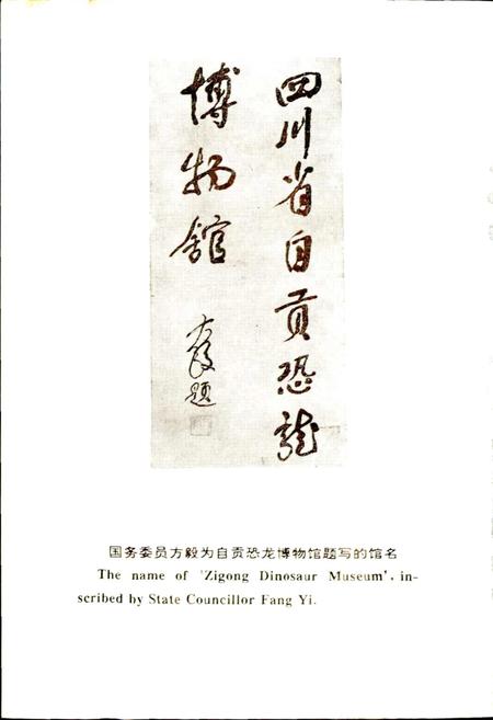 《自贡恐龙化石志》.pdf电子版_四川省志插图5