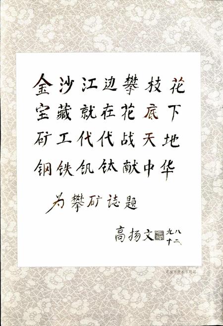 《攀矿志》.pdf电子版_四川省志插图4