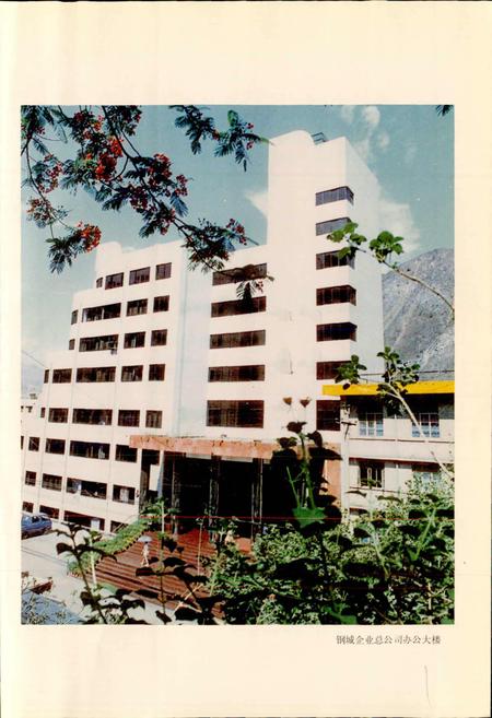 《攀钢集团 钢城企业总公司志》.pdf电子版_四川省志插图2