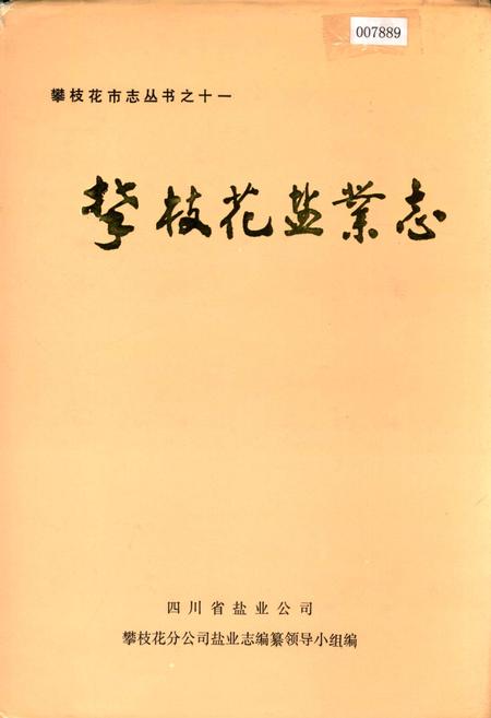 《攀枝花盐业志》.pdf电子版_四川省志插图