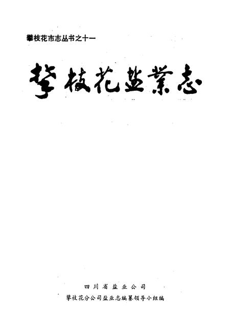 《攀枝花盐业志》.pdf电子版_四川省志插图1