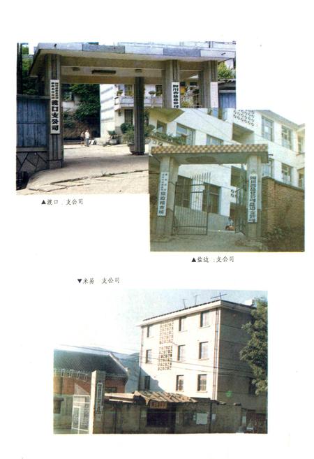 《攀枝花盐业志》.pdf电子版_四川省志插图2