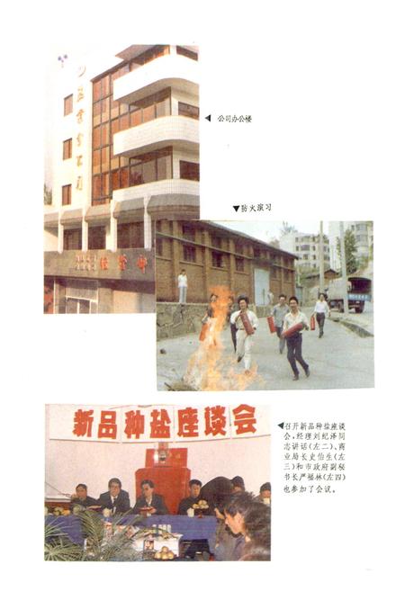 《攀枝花盐业志》.pdf电子版_四川省志插图4