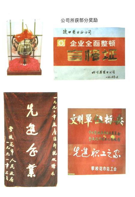 《攀枝花盐业志》.pdf电子版_四川省志插图5