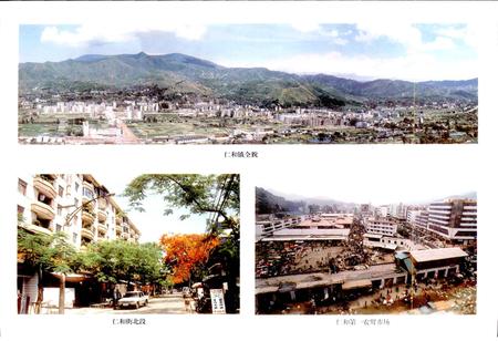 《仁和区志》.pdf电子版_四川省志插图4