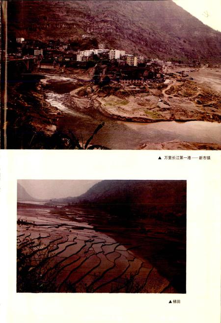 《屏山县志》.pdf电子版_四川省志插图5 《屏山县志》.pdf电子版_四川省志插图5