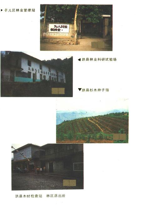 《珙县林业志》.pdf电子版_四川省志插图4