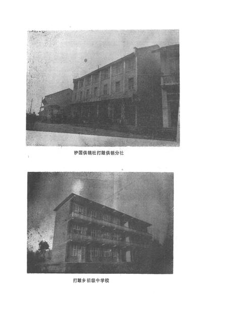 《打鼓乡志》.pdf电子版_四川省志插图3