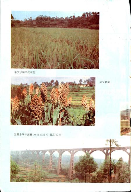 《泸县志》.pdf电子版_四川省志插图3