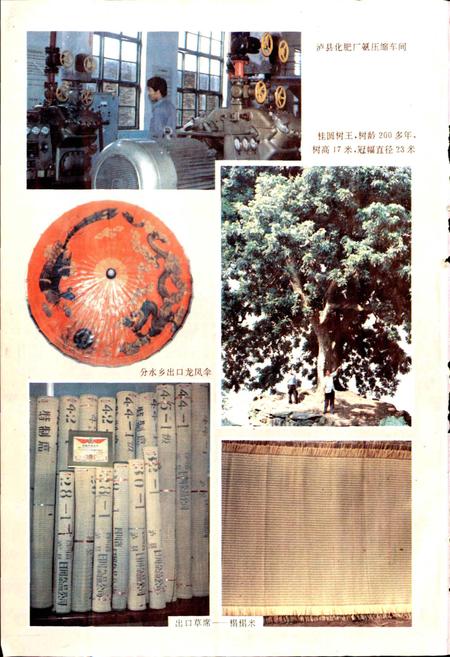 《泸县志》.pdf电子版_四川省志插图5