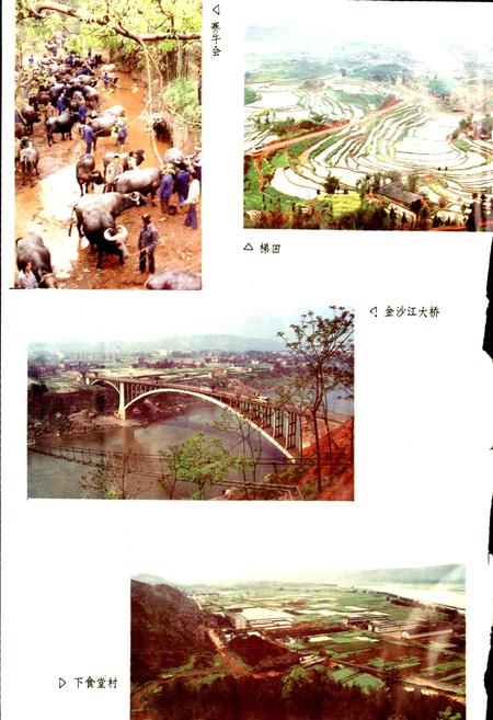 《宜宾县志》.pdf电子版_四川省志插图4