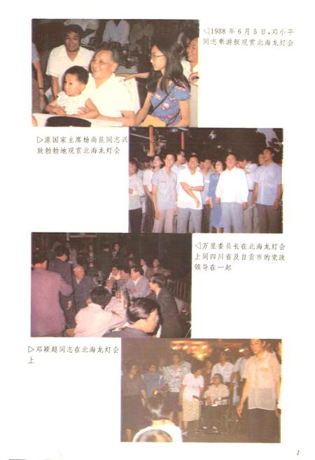 《自贡灯会志》.pdf电子版_四川省志插图4