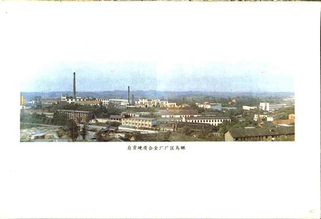 《自贡硬质合金厂志》.pdf电子版_四川省志插图4