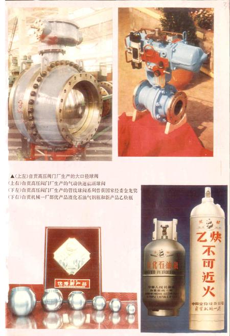 《自贡市机械工业志》.pdf电子版_四川省志插图5