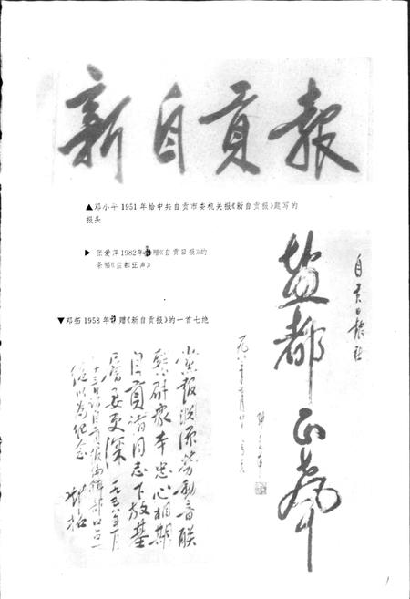 《自贡市报业志》.pdf电子版_四川省志插图5