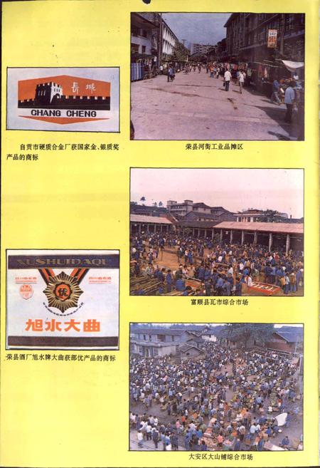 《工商行政管理志》.pdf电子版_四川省志插图5