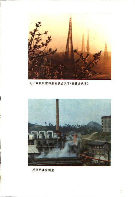 《自贡市工业志》.pdf电子版_四川省志插图5