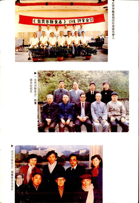 《自贡市粮食志》.pdf电子版_四川省志插图4