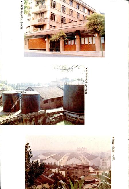 《自贡市粮食志》.pdf电子版_四川省志插图5