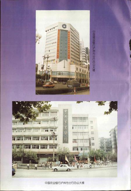 《泸州市金融志》.pdf电子版_四川省志插图4