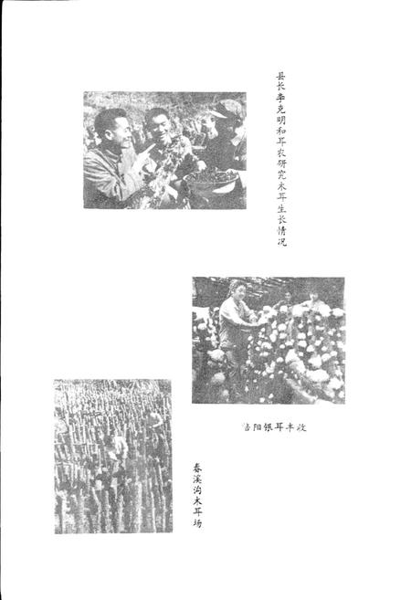 《通江县供销合作志》.pdf电子版_四川省志插图4