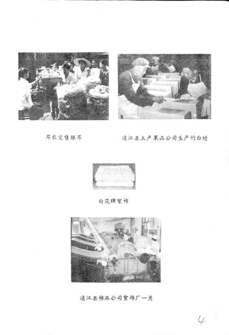 《通江县供销合作志》.pdf电子版_四川省志插图5