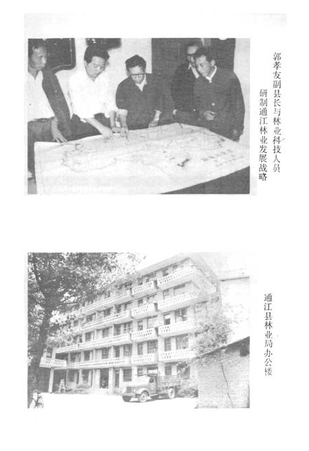《通江县林业志》.pdf电子版_四川省志插图4