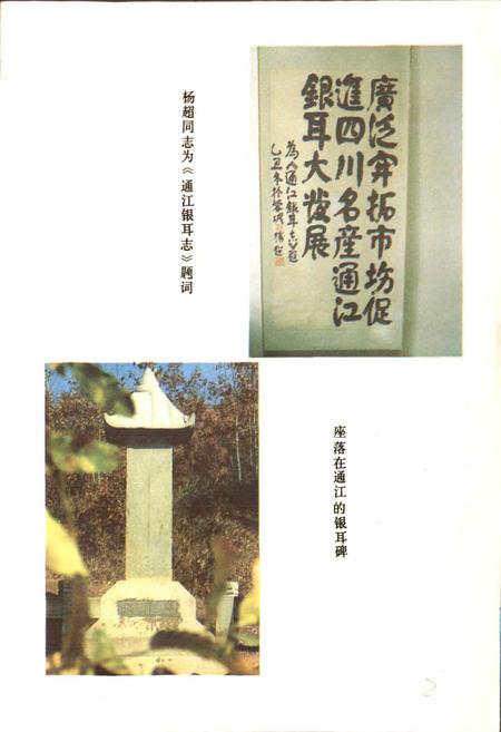 《通江银耳志》.pdf电子版_四川省志插图2